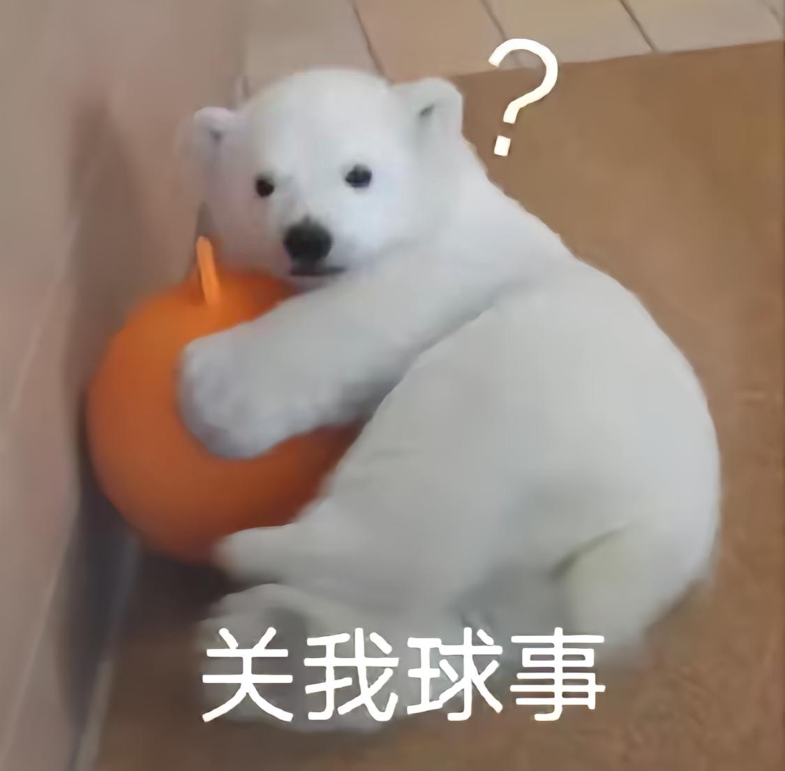 闲言碎语这个乙丑有食神入墓的意思，所以我这个月讲话会比较少，人也蔫了吧唧的。连带