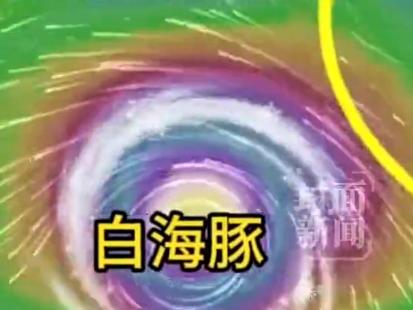 “白海豚”登陆华东已成定局，相当13个浙江省威力很大！

根据中央气象台及新华社