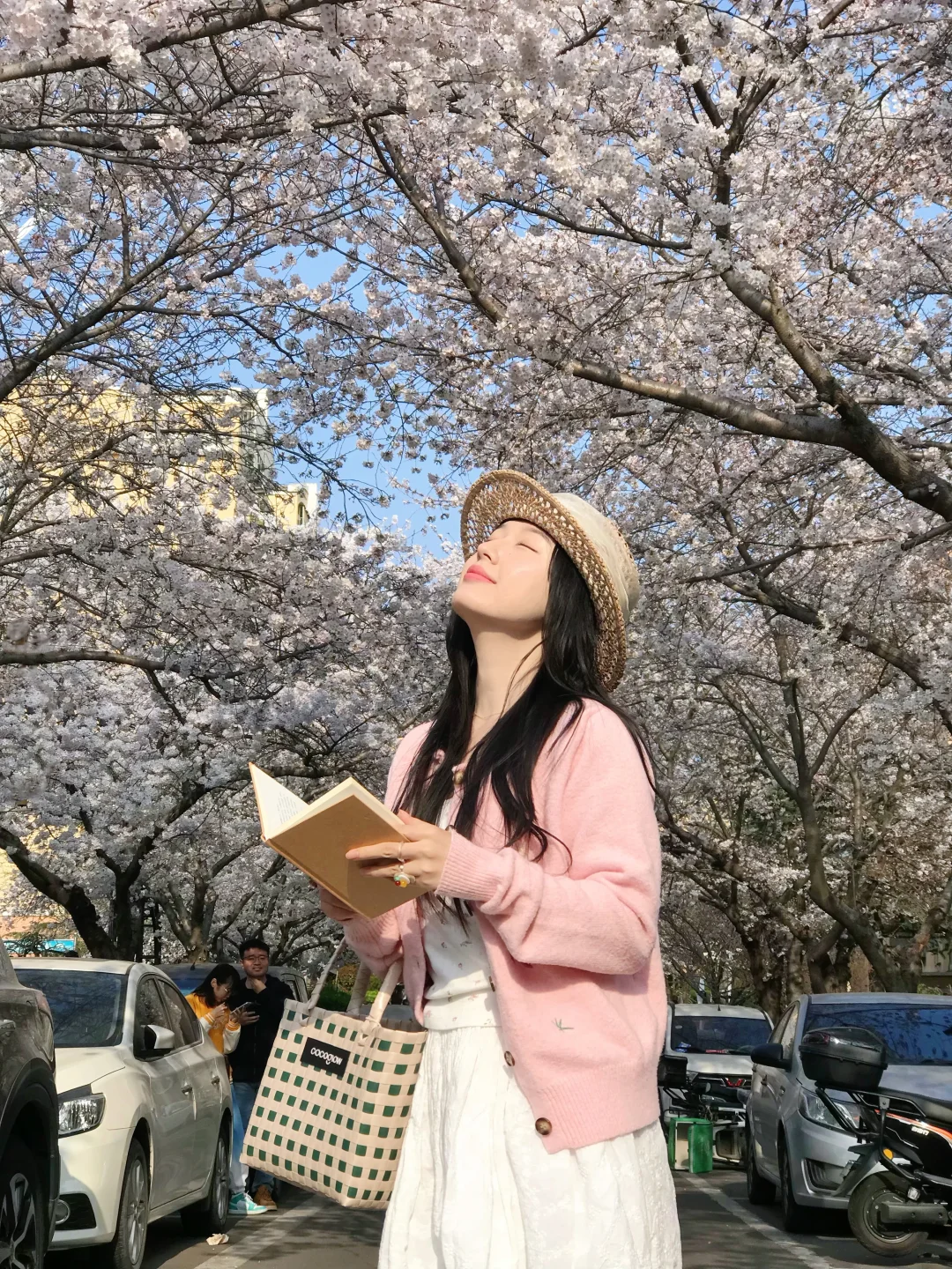 不是首尔 是青岛的樱花小区˃ᴗ˂🌸