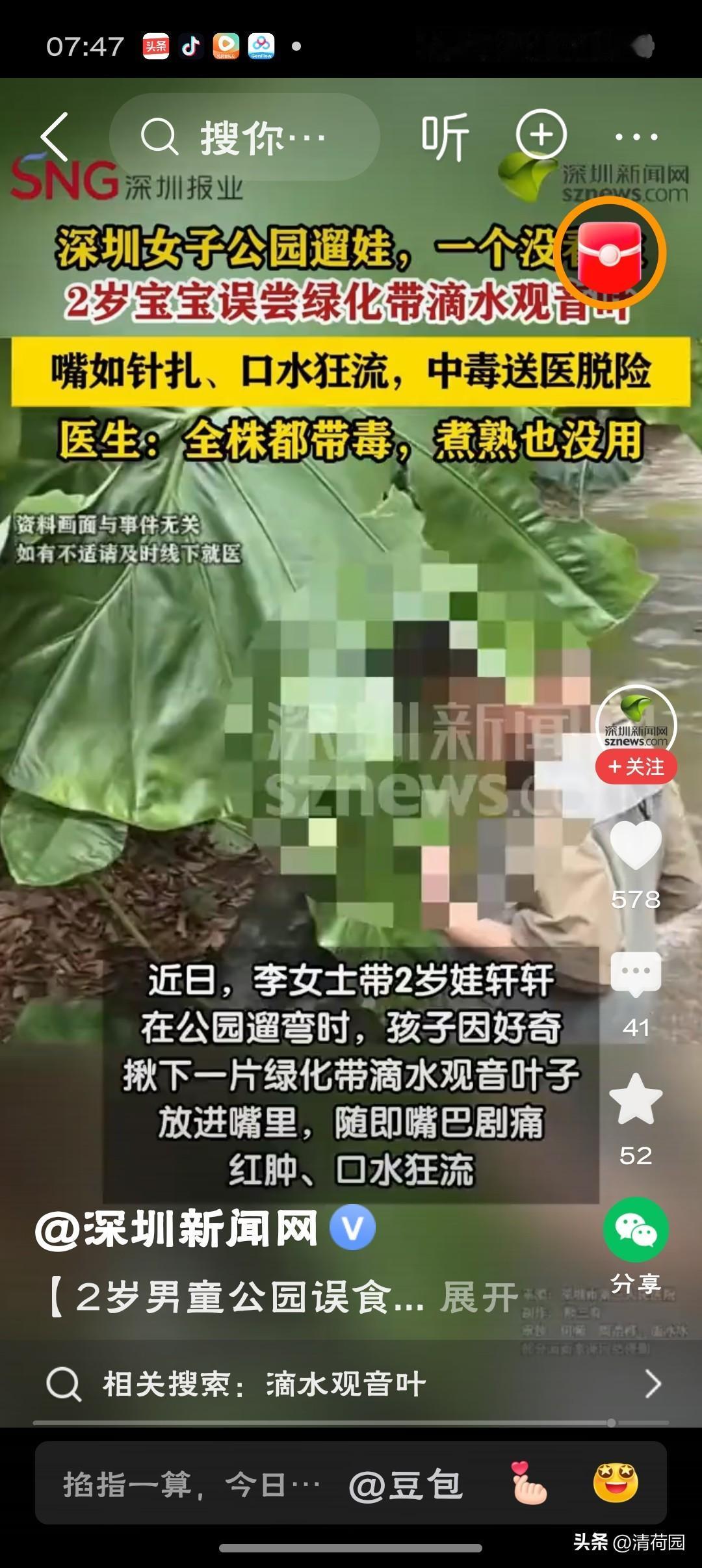 2岁男童公园误食滴水观音叶中毒看着真揪心！这种毒草在小区公园到处都是，带娃出门千