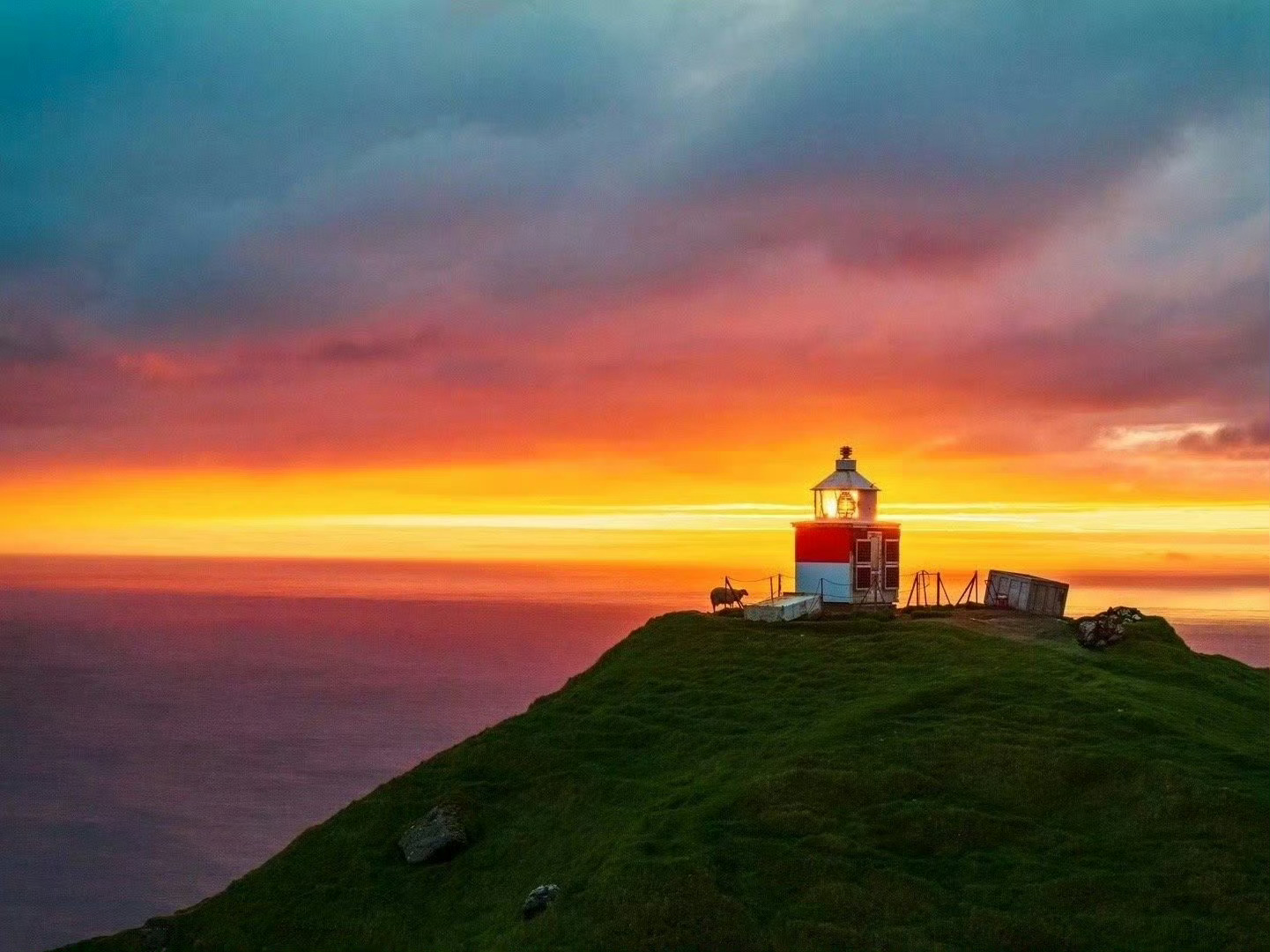 6月底的法罗群岛，是摄影人的幸运符！漫山野花铺成彩色海洋，繁殖期海鹦萌态百出，色