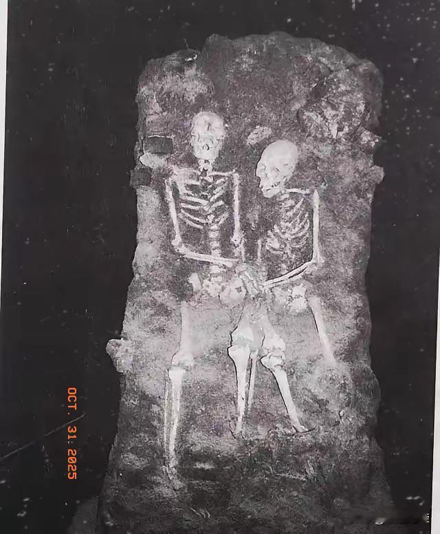 1997年，在沈阳东华门原日本宪兵队本部地下发掘出的部分遗骨里，有一对拷在一起的