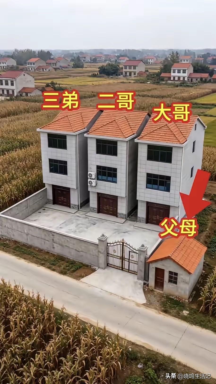 大家觉得，三兄弟做的对吗？