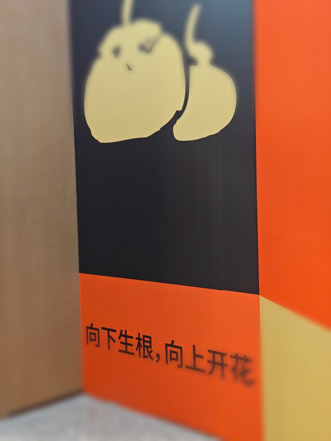 好喜欢这句话呀。 