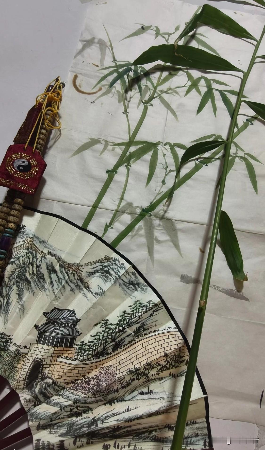 新年了，对着竹子画竹子。
愿大家在马年，节节高升！