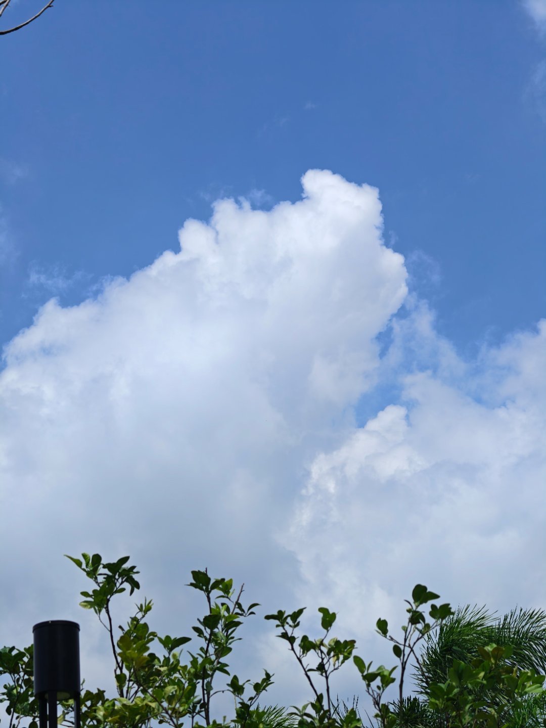 早早早[心] ​​​