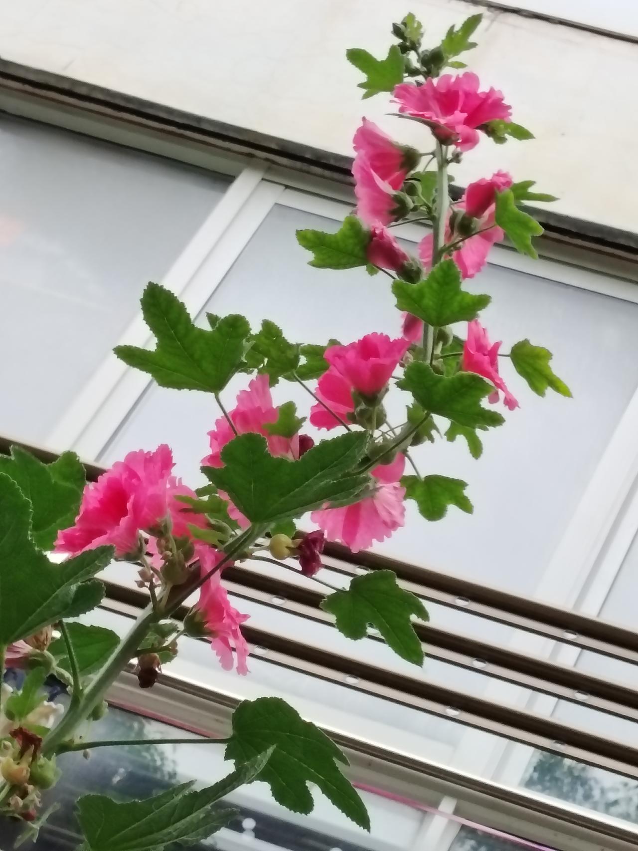 我认为越多越好。
因为一是朋友多可以提供不同的观点和经历，会带来更多的乐趣和支持