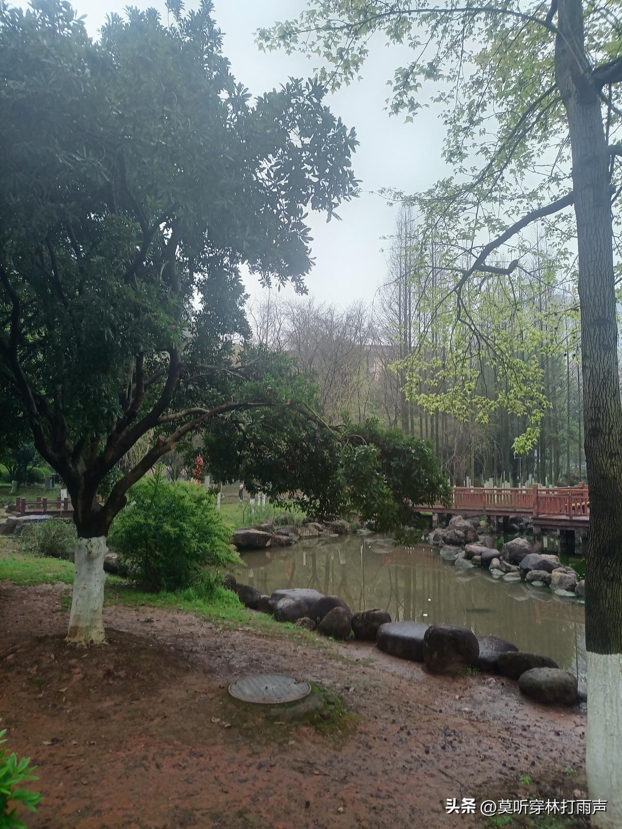 大A股市今天扬眉吐气了一回！

实在没想到今天早上写的文章违规了扣5分。看来不能