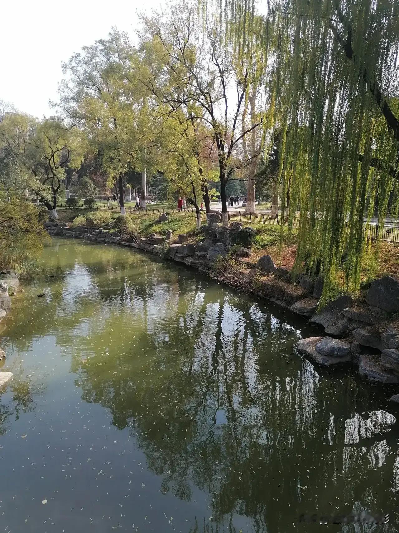 这个问题看似简单，却折射出许多家庭背后真实的生活状态和教育观念。有人说，孩子放假