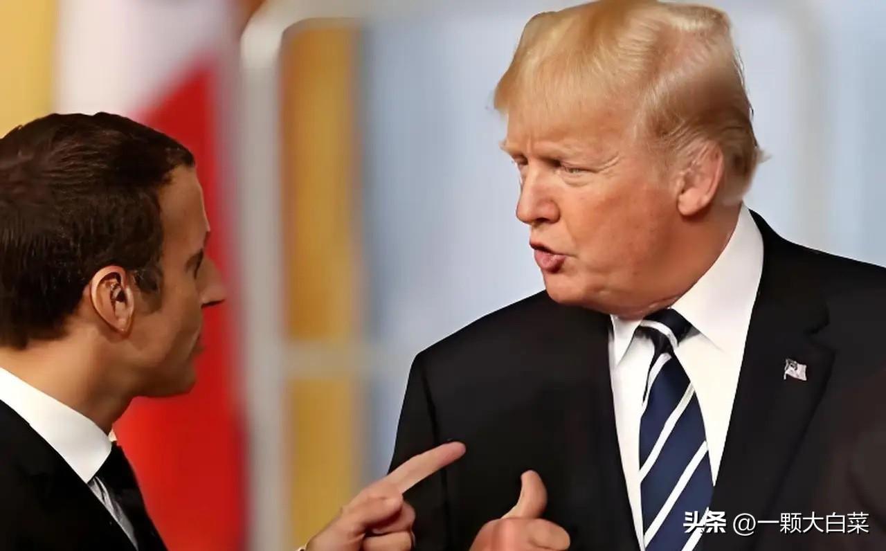 笑不活了！马克龙公开怒怼特朗普：跟他沟通就像对牛弹琴

国际政坛吐槽大会高能上演