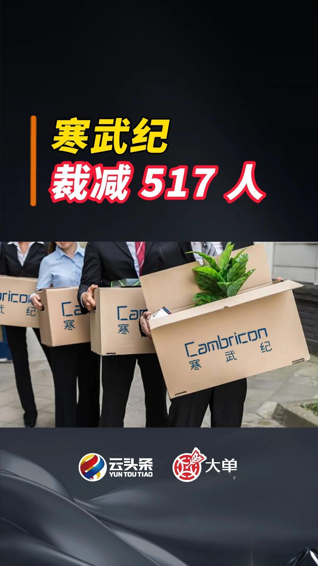 寒武纪：裁减 517 人