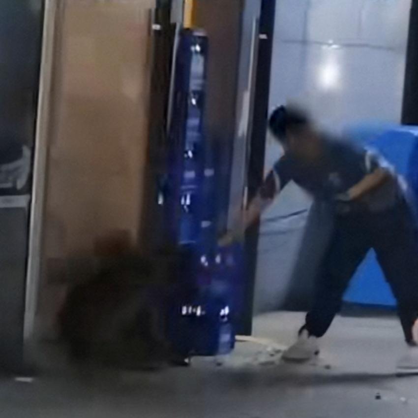 浙江一男子遛狗，不牵绳的柯基挑衅牵绳的大狗被咬，男子用啤酒瓶爆了大狗的头。这就是