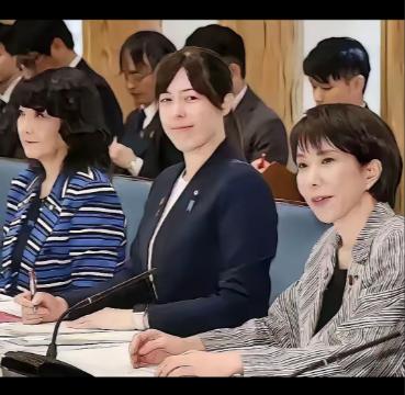 日本的反击来了！
中日贸易战升级。日本出于反击中国对日稀土禁运制裁，于1月 17