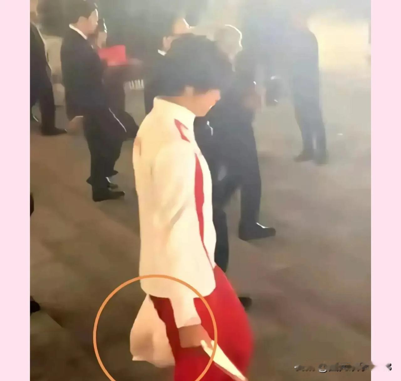 破案了，原来全红婵在国庆节国宴上打包的是桃子，每个运动员都可以拿走，很多运动员都