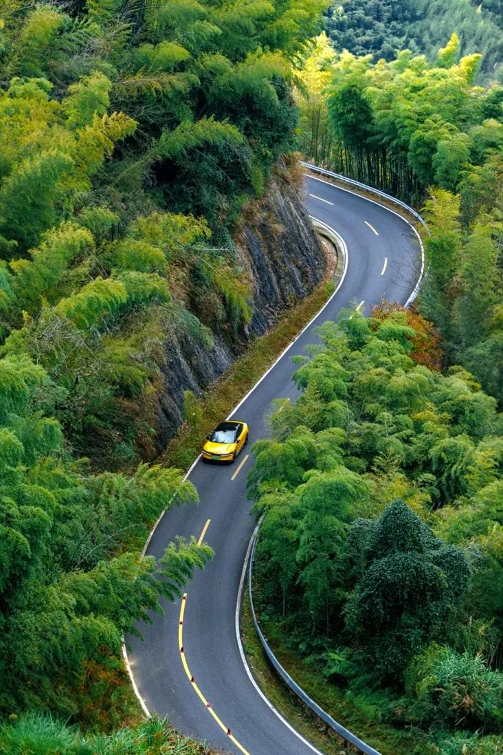 自驾游  盘山公路  森林探险  风景如画自驾游风景🚗 绝美公路旅行