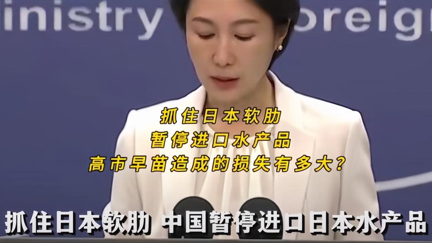 你知道吗？由于高市早苗的疯狂操作，日本刚恢复对华出口的北海道扇贝还滞留在港口，中
