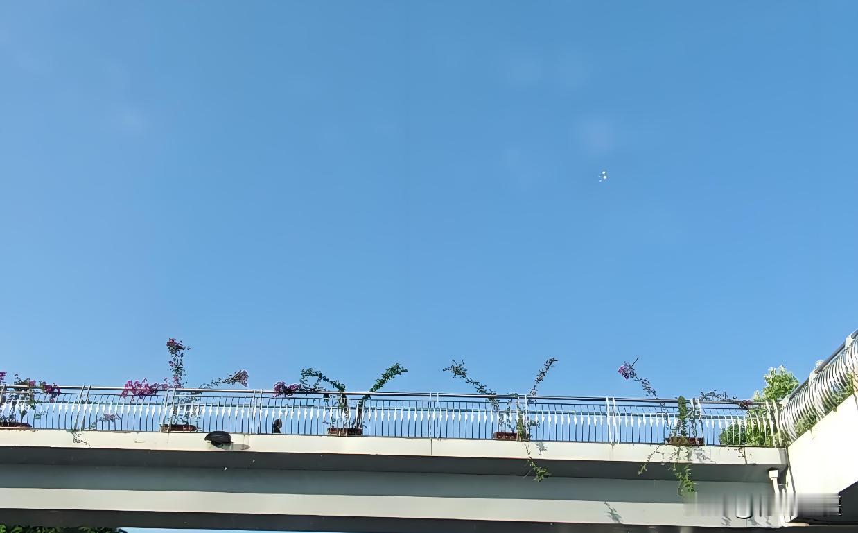叔本华说，创造世界的并不是心地善良的人，而是从人类的痛苦中获得快乐的邪恶份子..