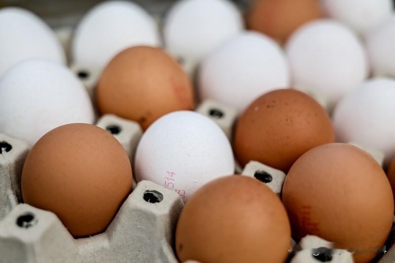 台民调：63%民众不愿自己或家人打仗 台民调显示63%民众不愿自己或家人打仗，这