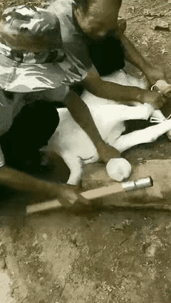 作为男人，他们应该知道，那个地方的痛感非常强烈——

刚才刷到个小视频，看得我浑