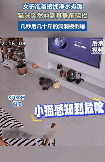 “太神奇了！”湖南，女子准备去接纯净水煮饭，可是猫咪突然冲到女子前方用身子来阻拦