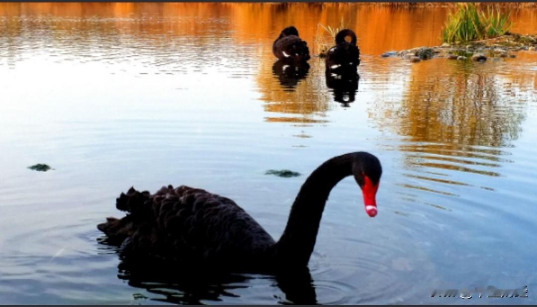【A股】现在的A股市场有两个方面非常重要，一是坚决果断地取消量化或者将量化的每秒