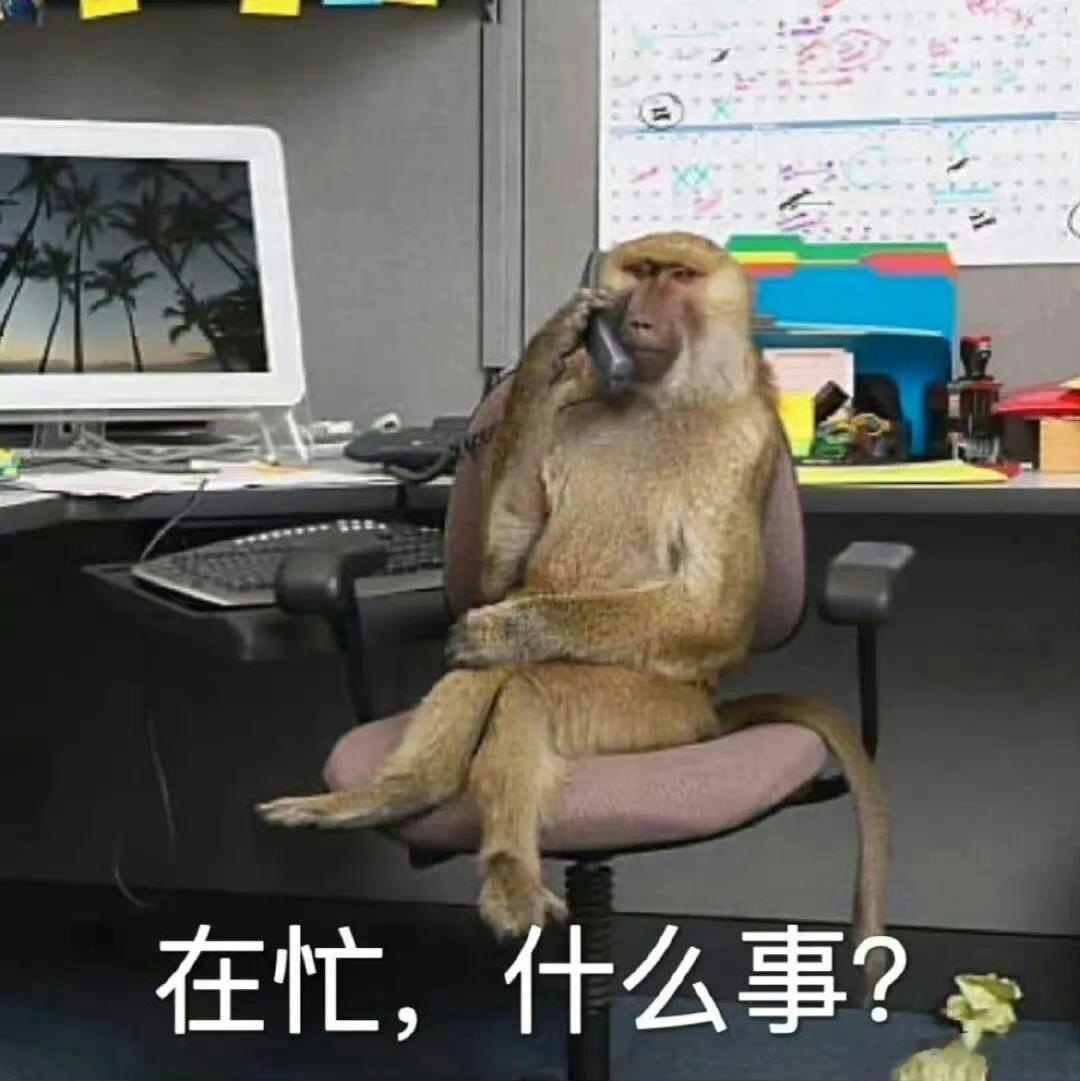 最尊重猴的剧组出现了 悟空大闹天宫承载旧时想象，吗喽大闹众合贴近当下生活，跨越时