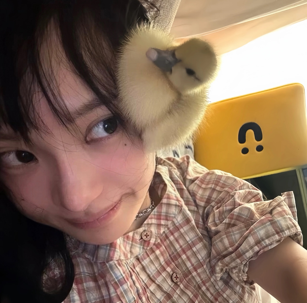 𝙒𝙚𝘾𝙝𝙖𝙩｜kpop女头🖤｜柳多恋💭｜头像分享🥨 