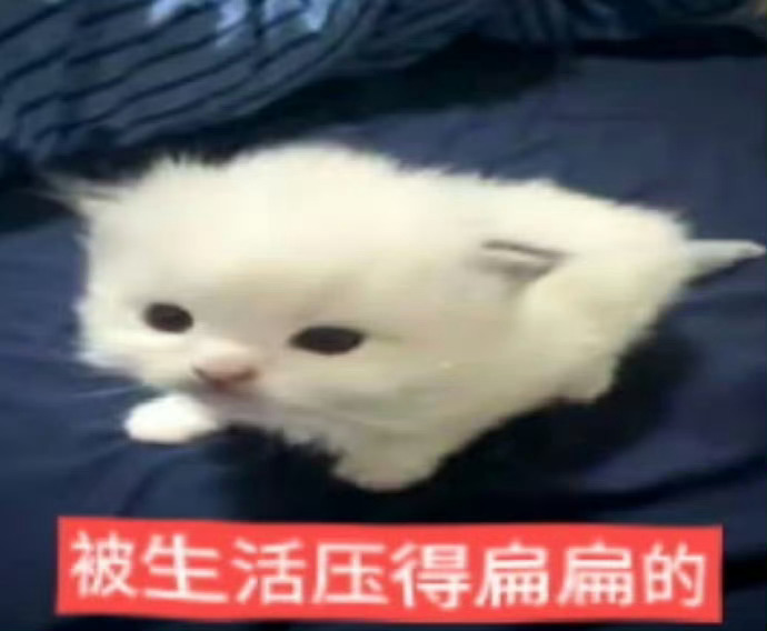 分享图片 