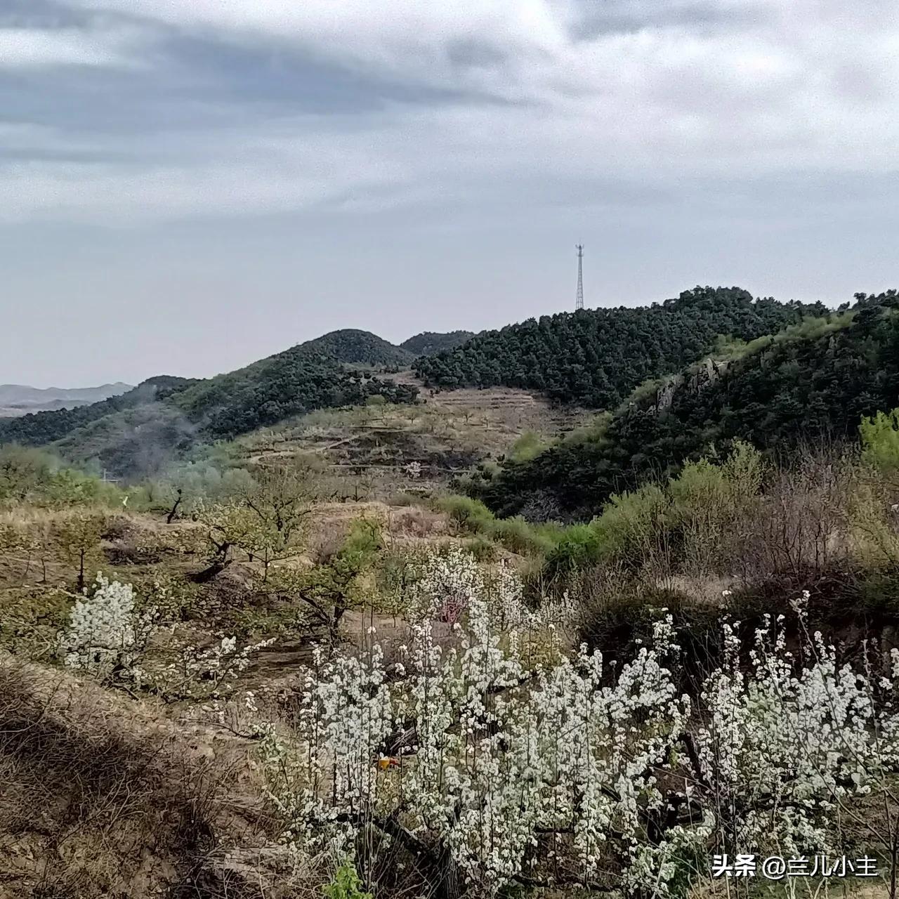 语言是越用越活，所以别抱怨你写不出来，也许你在迟疑的时候，别人已经在路上了，加油