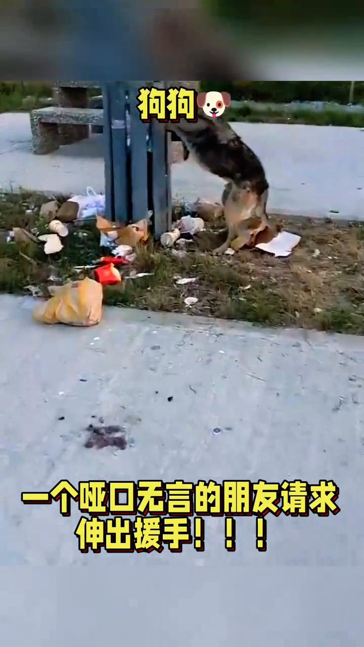 一个哑口无言的朋友请求伸出援手。