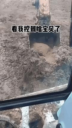 看我挖到什么宝贝了，
这辈子不用上班了！[泣不成声]