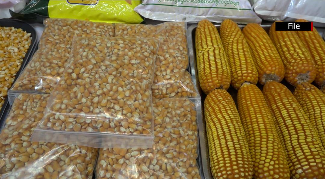 没这张证，泰国不收！缅甸玉米出口须持“无烟霾认证”