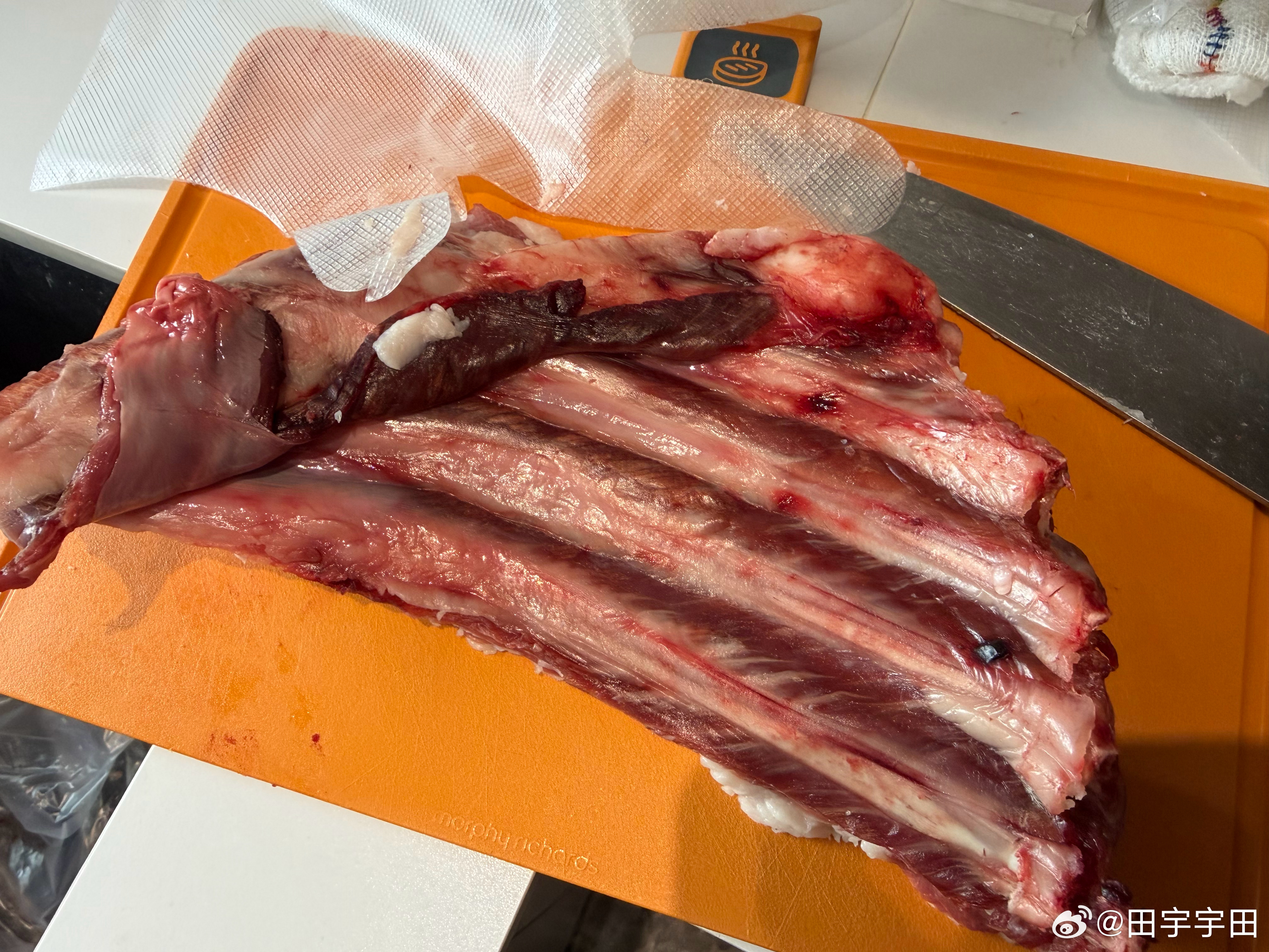 其乐说中午给我烤羊排本来内蒙人只吃水煮撒盐但是我受不了一点点膻味（也是很多人喜欢