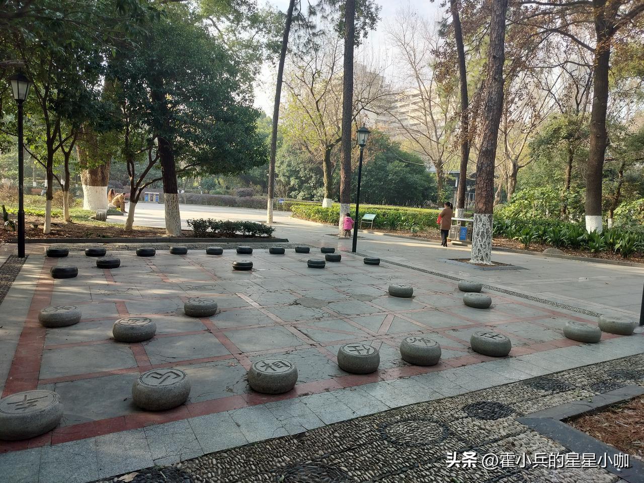 这事儿听起来很扯淡，但是你仔细想想，美国总统要求不再资助不符合美国利益的组织，也