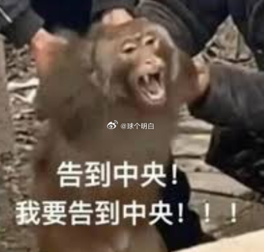 禁区放倒，不给点球嘛，我要南非VS加拿大