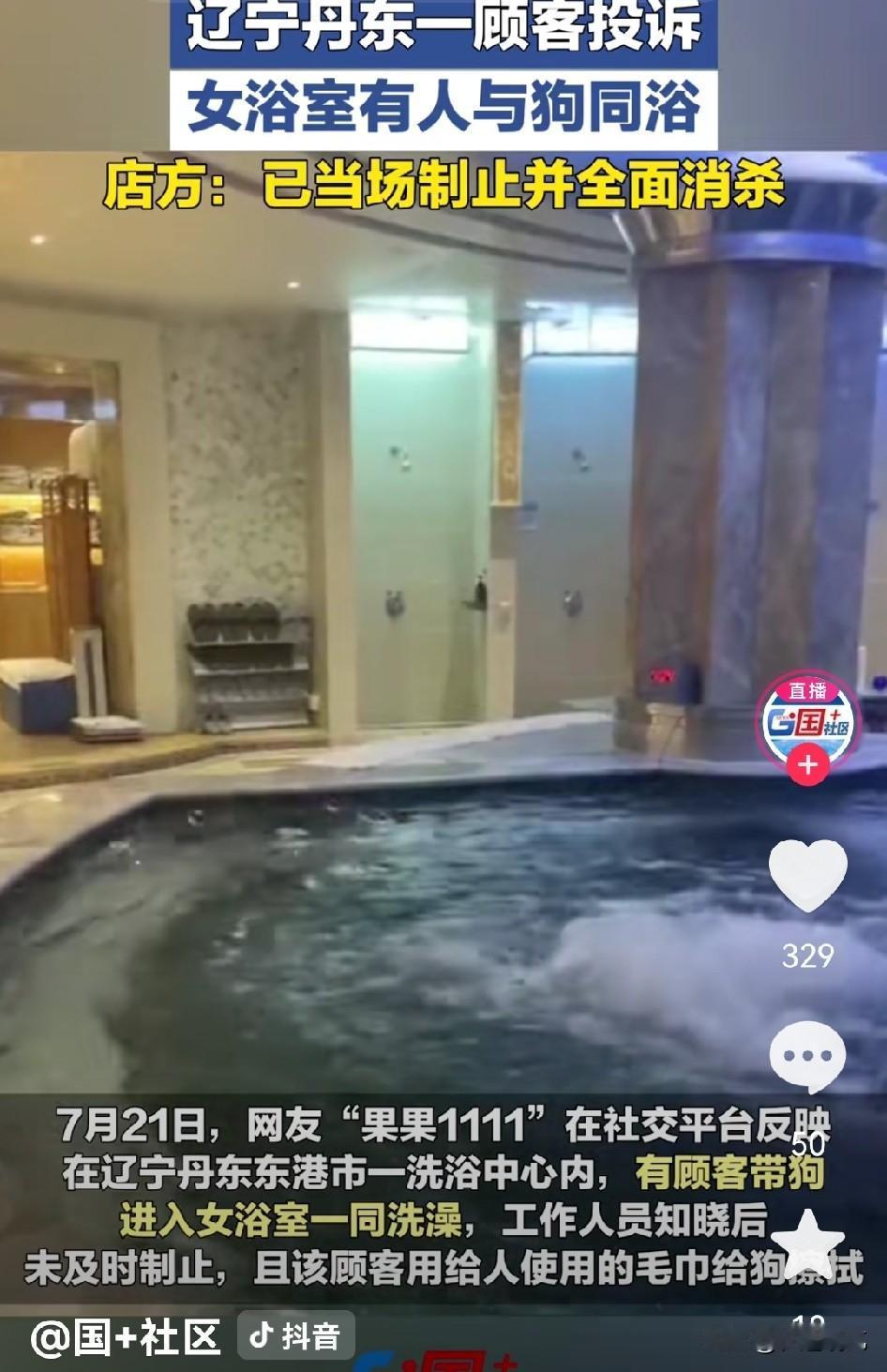 最近有人带宠物去公共场所惹麻烦，前阵子带狗进饭店的事刚过去，这回又闹出带狗泡温泉