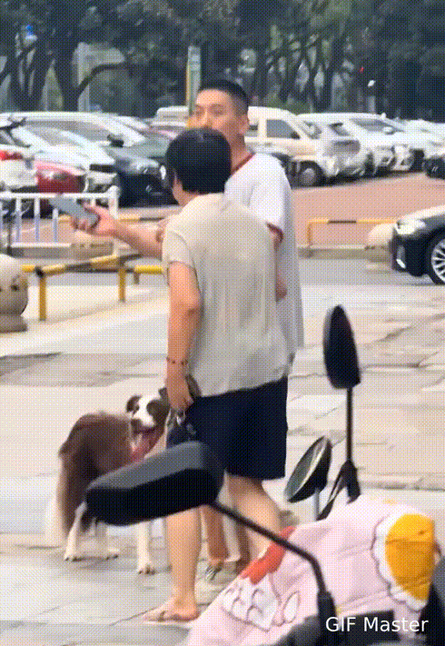 养狗的人如果不讲养狗的公德，那真是让人头疼的社会隐患。