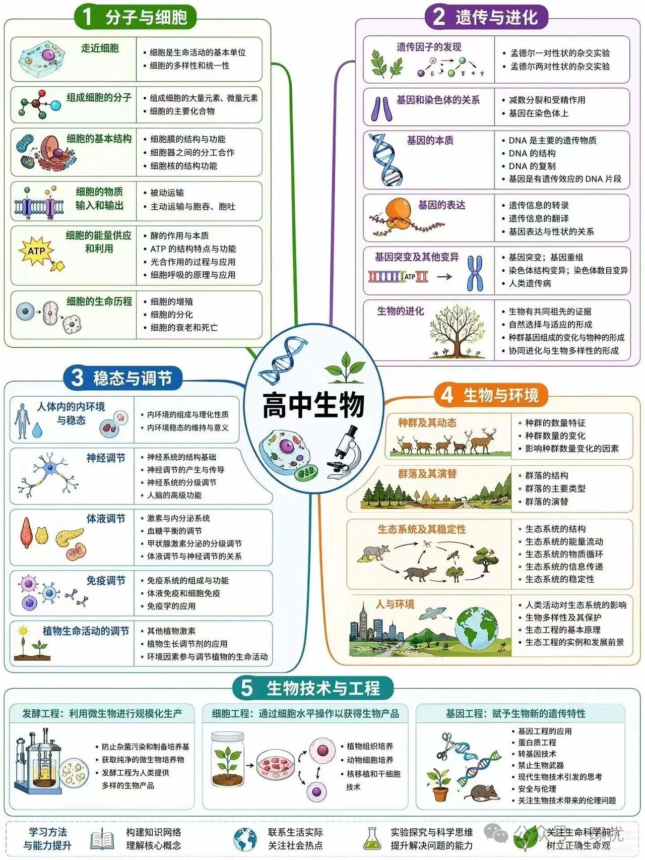 一张图看懂高中生物重难点
