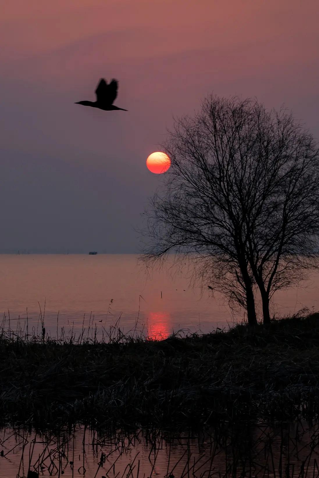 一切没有经过实践检验的理论和武器都是在吹牛逼，但有些人就喜欢听这种话。我们是比较