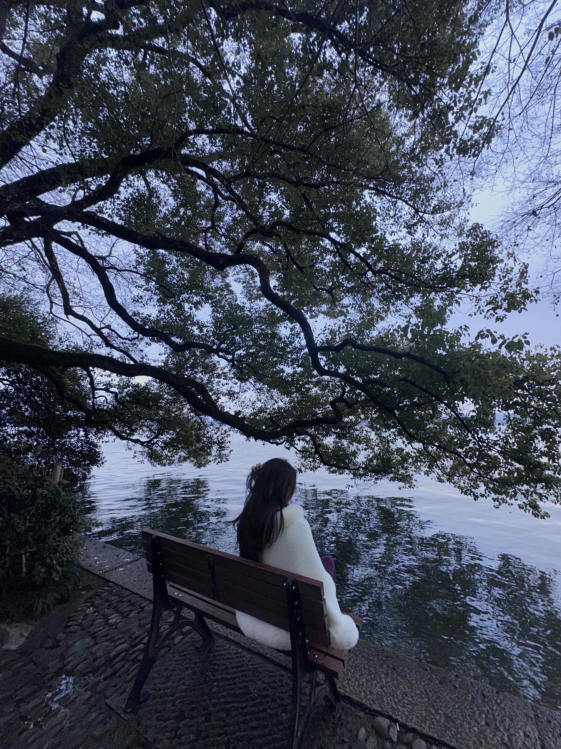 孤独是常态
