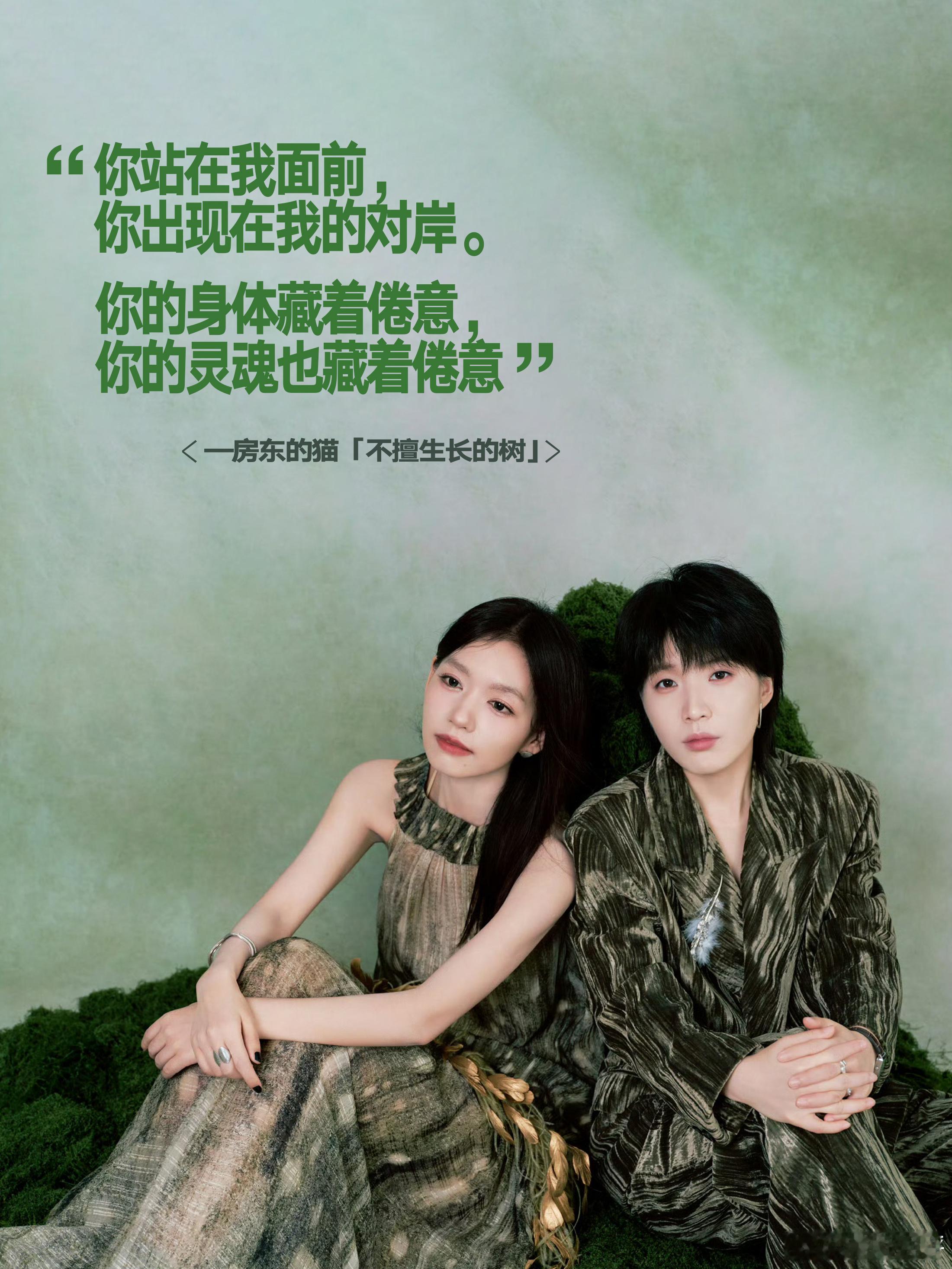 房东的猫新专辑不擅生长的树房东的猫专辑同名曲不擅生长的树“你站在我面前，你出现在