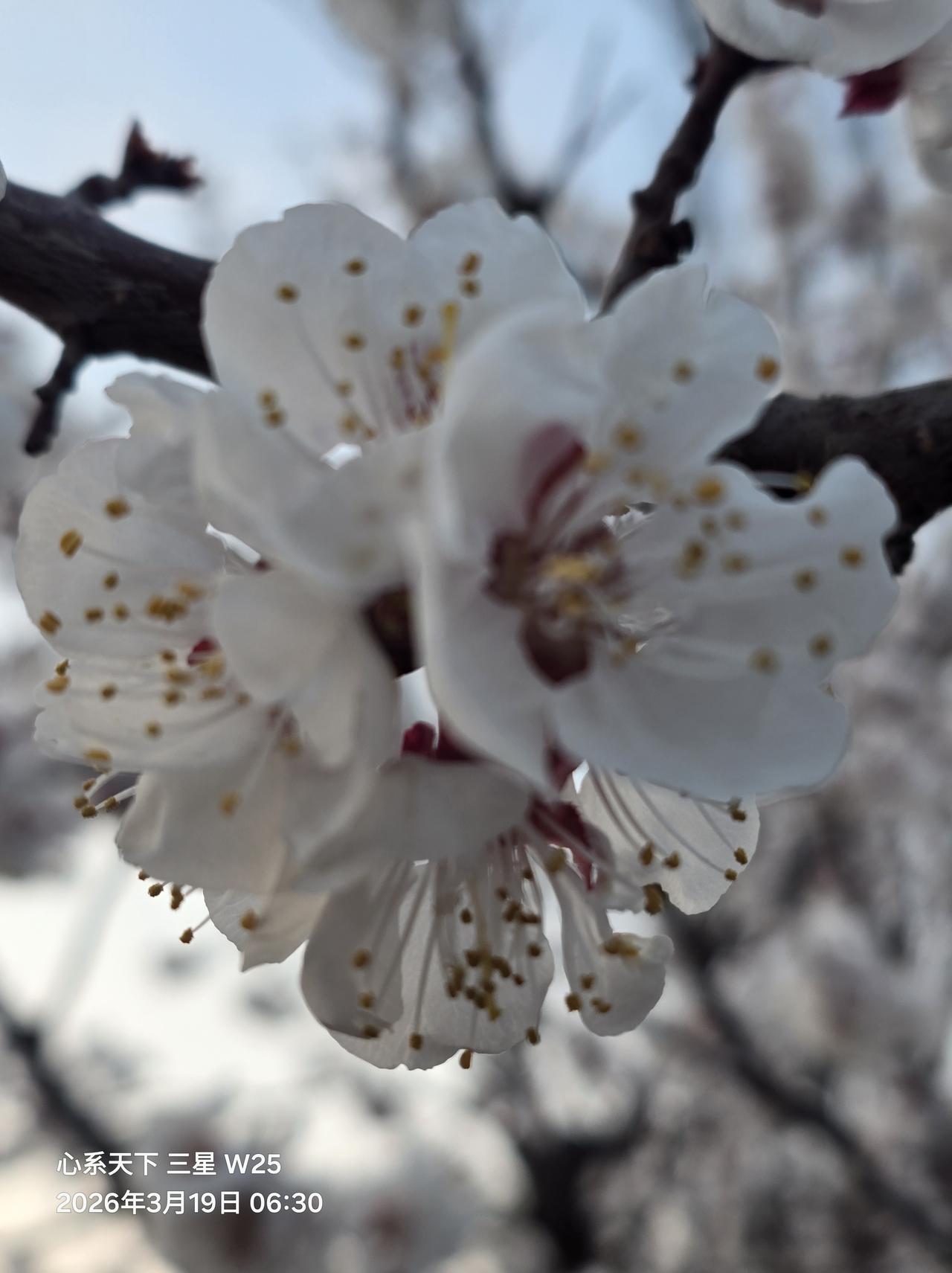 最好的生命状态，内心丰盈 ，外在松弛。[笑]