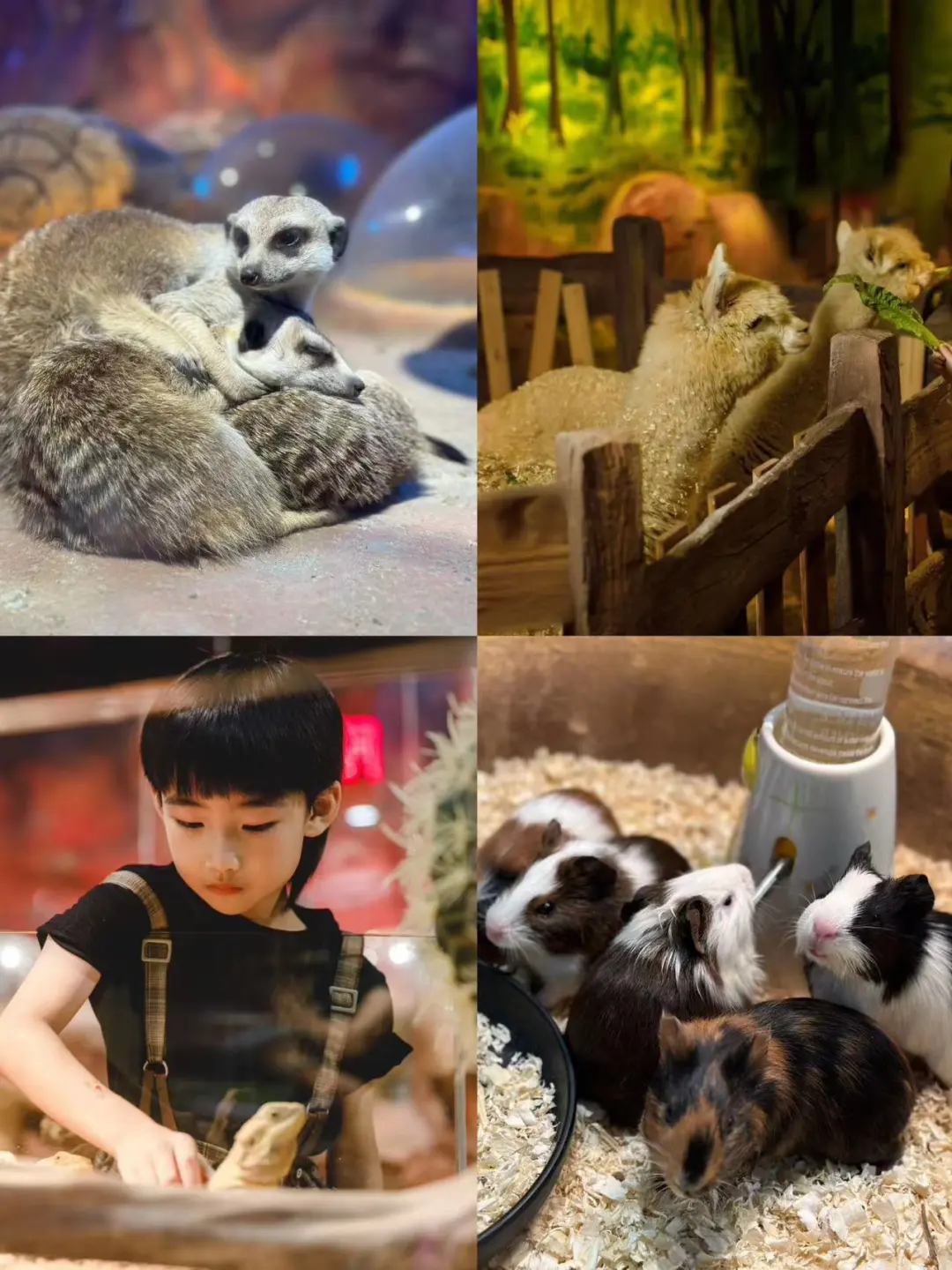 夏日狂欢，星河城夏日戏水音乐节嗨翻天等你