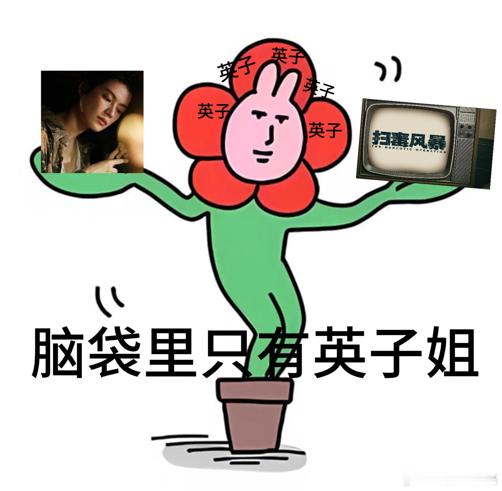 扫毒风暴马英子还是太全面了 会电脑，懂英文，还能分析局势，马英子技能真不少。和 