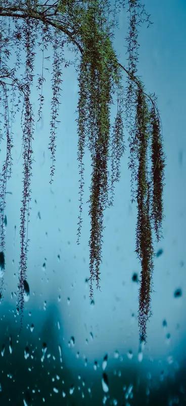 AI妙生图雨打门前柳。