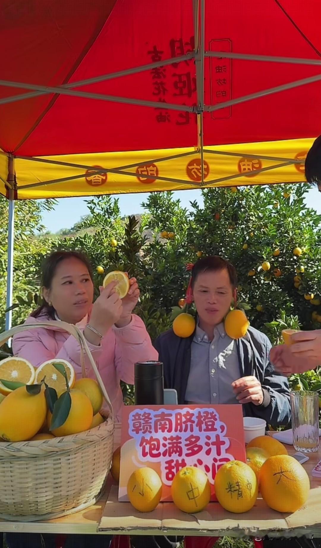 梁志辉父母今天又直播带货了，今天带货的是脐橙。
        梁志辉被找到之后