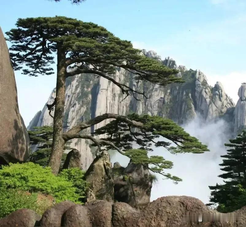 咏岩松
           一
伸向山巅破岩中，
静听猿啸号角鸣。
霜打雪压由