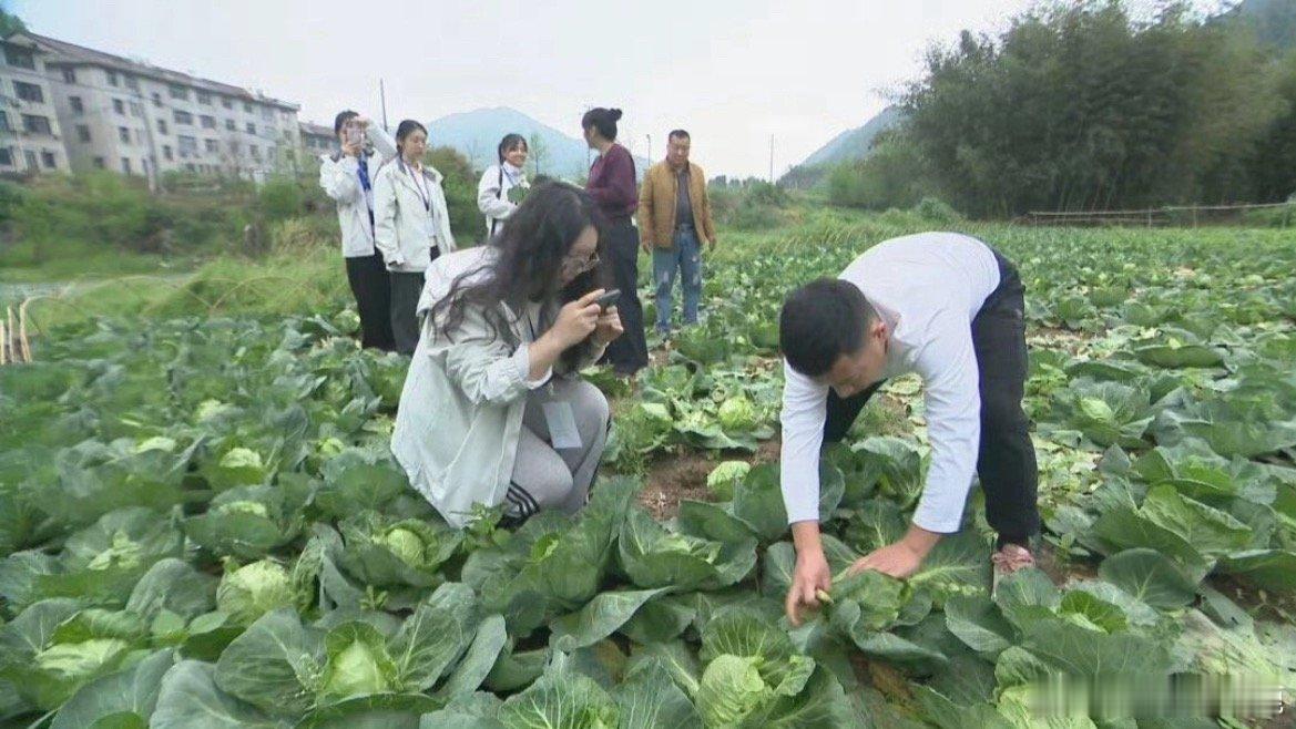临海数字化共富平台助农破局暖民心临海深耕数字赋能乡村振兴，搭建共富新平台打通产销