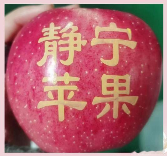 质量强县：联农富民打造西部样板质量甘肃行品静宁苹果甜 2026年主流媒体质量甘肃