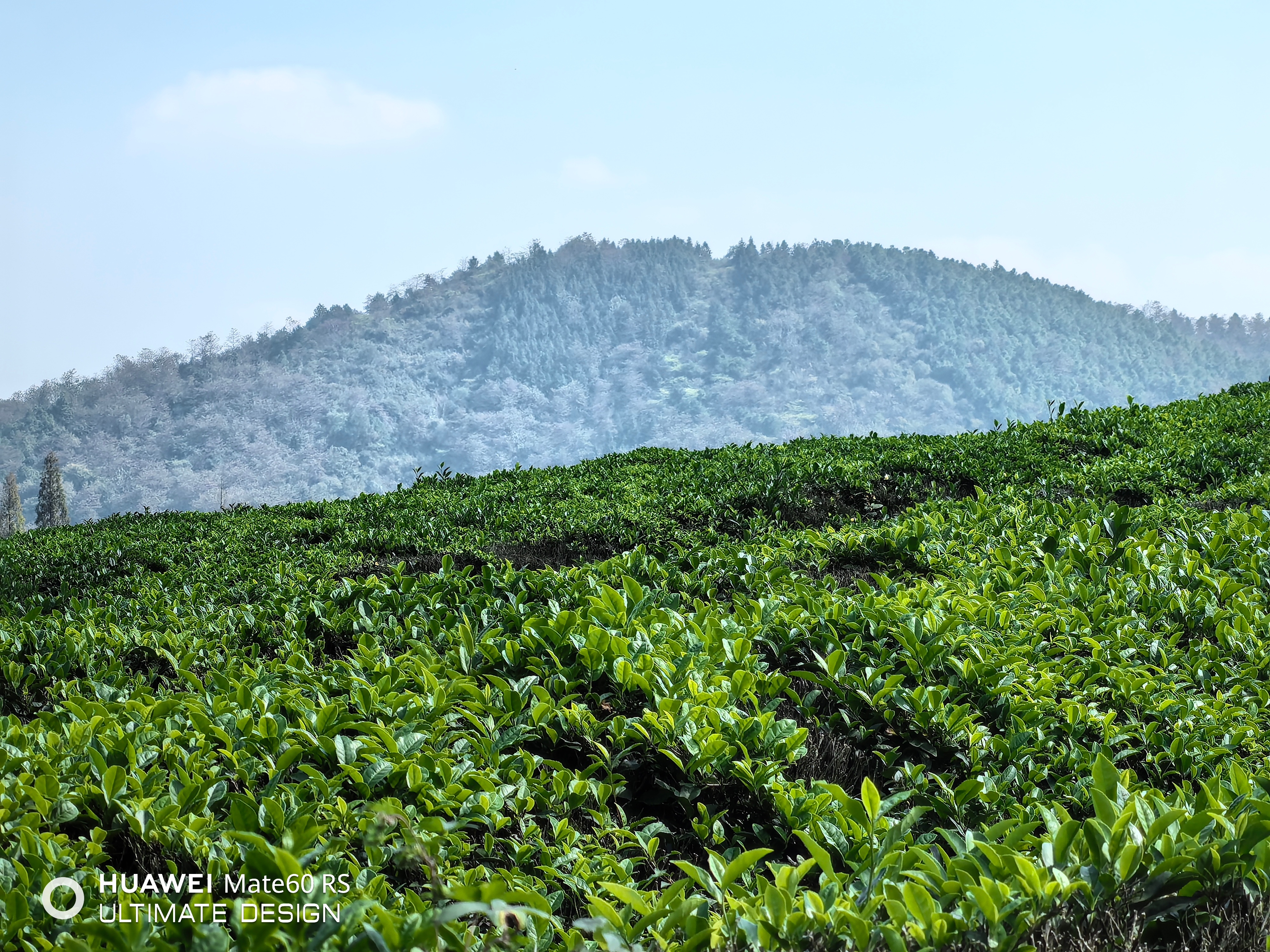 #做早饭时想# 有位朋友和我聊天，这几十年不少众大事件，我在社会舆论中和所谓主流